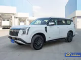 Nissan Patrol  - Daily 700 QR